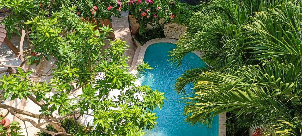 Soraya Yoga Wellness Center Hotell Gili Trawangan Exteriör bild